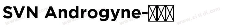 SVN Androgyne字体转换
